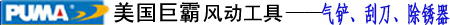 美国巨霸风动工具-除锈器
